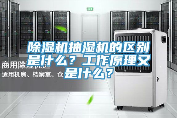 蕾丝视频污污污抽湿机的区别是什么？工作原理又是什么？