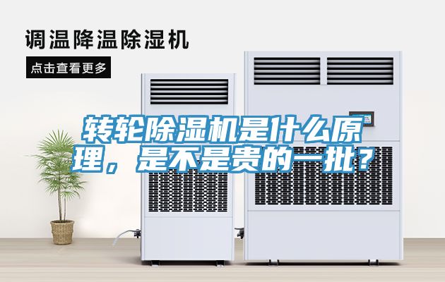 转轮蕾丝视频污污污是什么原理，是不是贵的一批？