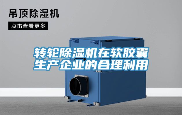 转轮蕾丝视频污污污在软胶囊生产企业的合理利用