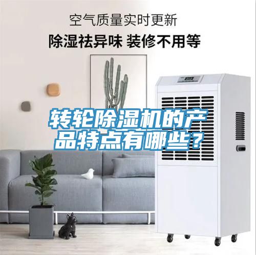 转轮蕾丝视频污污污的产品特点有哪些？