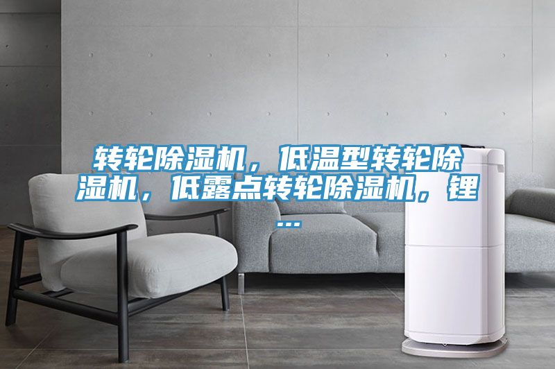 转轮蕾丝视频污污污，低温型转轮蕾丝视频污污污，低露点转轮蕾丝视频污污污，锂 ...