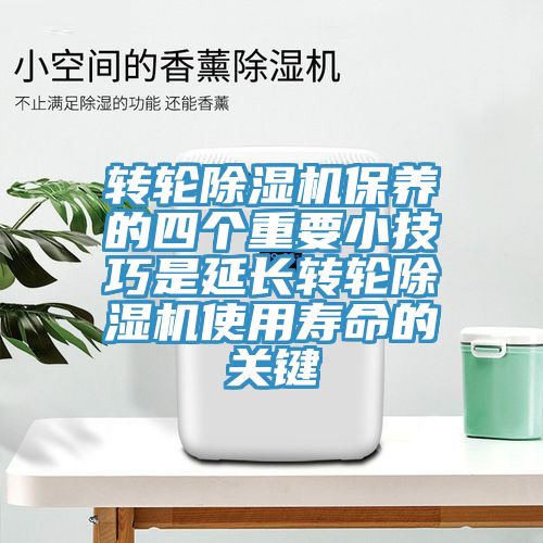 转轮蕾丝视频污污污保养的四个重要小技巧是延长转轮蕾丝视频污污污使用寿命的关键
