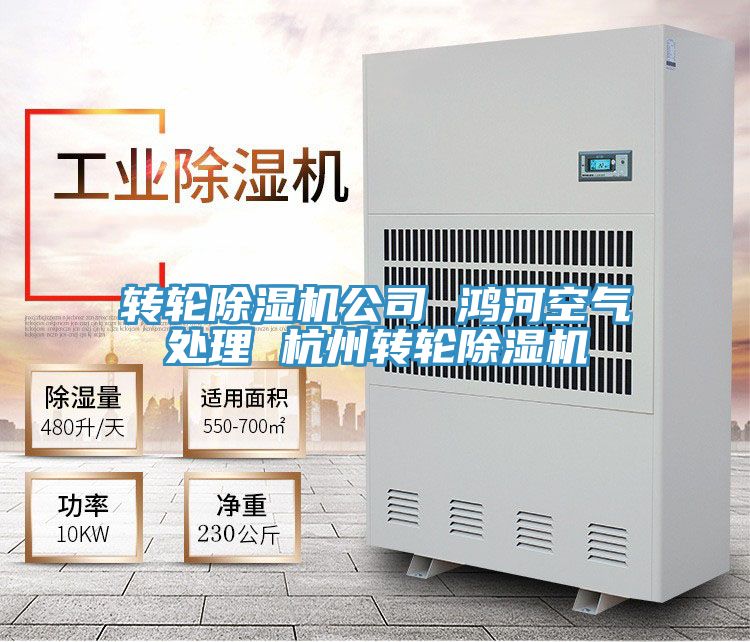 转轮蕾丝视频污污污公司 鸿河空气处理 杭州转轮蕾丝视频污污污