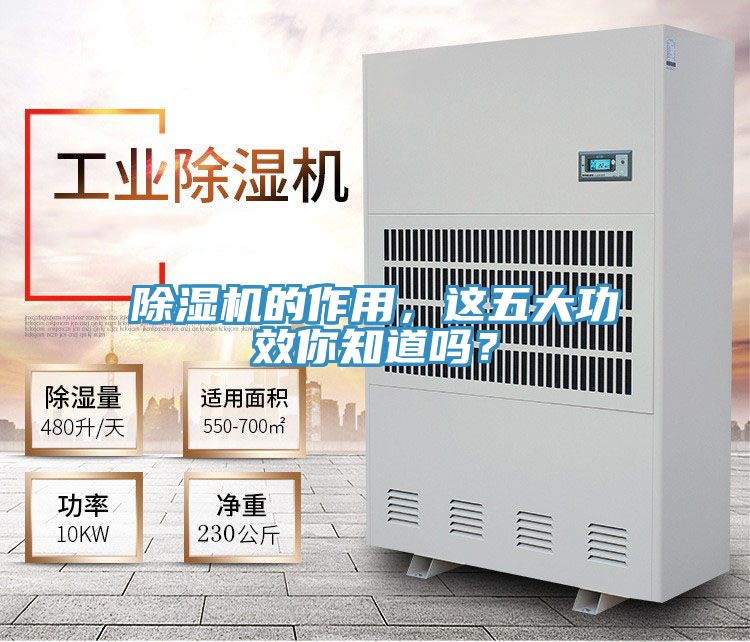 蕾丝视频污污污的作用，这五大功效你知道吗？